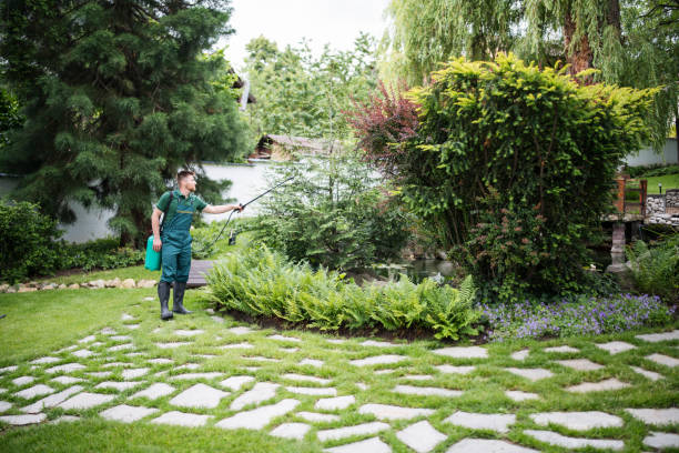 Best Exterminator Services  in Piney Point Village, TX