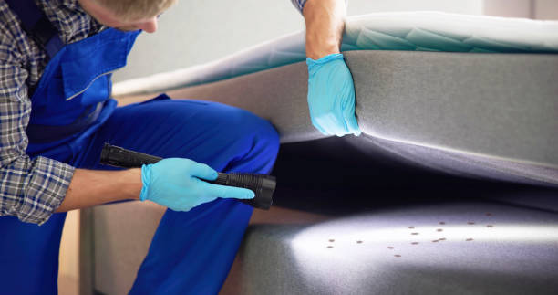 Best Affordable Pest Control Services  in Piney Point Village, TX