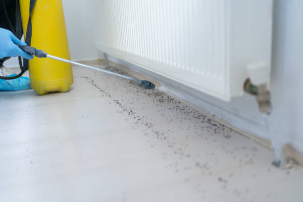Best Pest Prevention Services  in Piney Point Village, TX